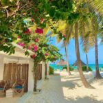 National Travel